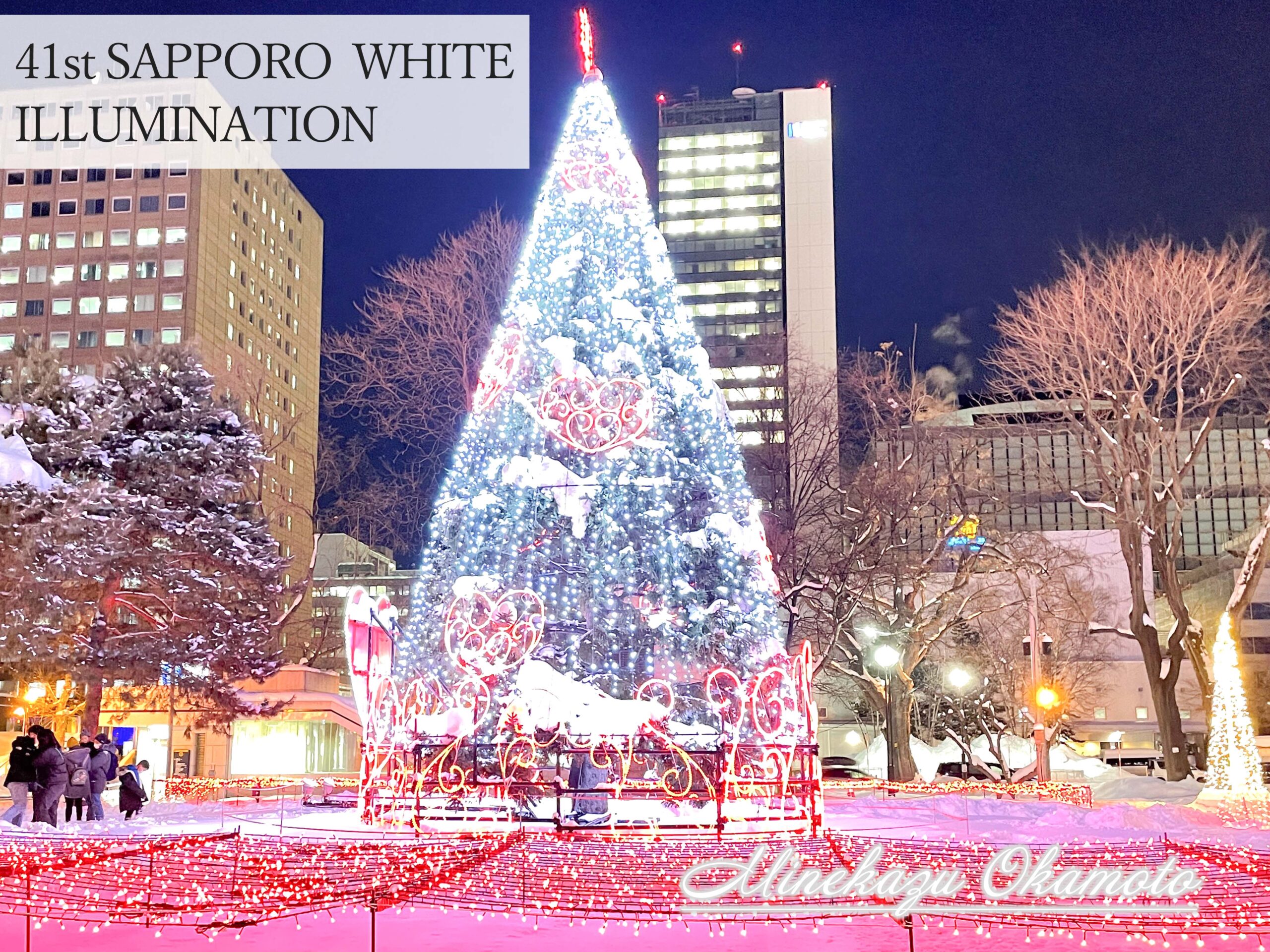 https://nextech-sapporo.jp